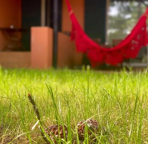 Charmoso Na Herdade Da Aroeira Διαμέρισμα *